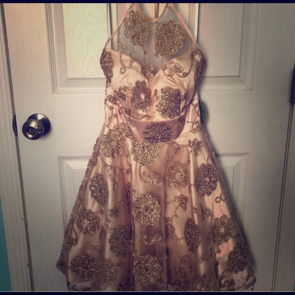 Reposhing- gorgeous dress!